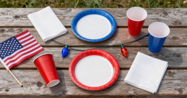 15 Best Patriotic Outdoor Party Supplies in 2026