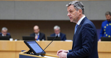 Opening Statement By Commissioner Dombrovskis At The European Parliament Plenary Debate On The EIB's Activities In 2025
